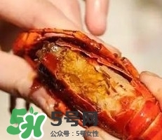 蝦黃孕婦能吃嗎？蝦黃在哪個(gè)位置圖解