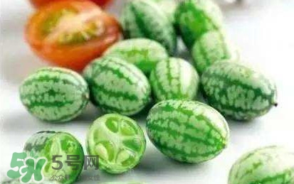 迷你西瓜能生吃嗎？迷你西瓜怎么吃