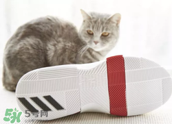 adidas dame3上腳怎么樣？阿迪達(dá)斯利拉德三代測(cè)評(píng)
