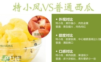 特小鳳西瓜孕婦能吃嗎？特小鳳西瓜孕婦可以吃嗎