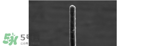 熊野巨匠小熊筆怎么用？熊野巨匠小熊去黑頭筆使用方法