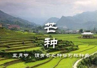 芒種種什么？芒種種什么疏菜？