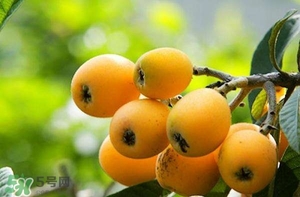 孕婦能吃枇杷嗎？孕婦吃枇杷對(duì)胎兒好嗎？