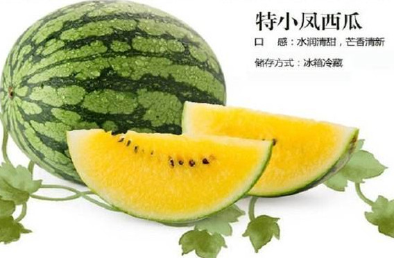 特小鳳西瓜是轉(zhuǎn)基因嗎？特小鳳西瓜是不是轉(zhuǎn)基因