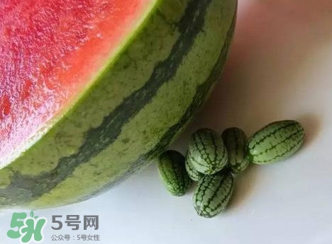 迷你西瓜是轉(zhuǎn)基因水果嗎？迷你西瓜是不是轉(zhuǎn)基因？