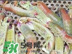 蝦黃孕婦能吃嗎？蝦黃在哪個(gè)位置圖解