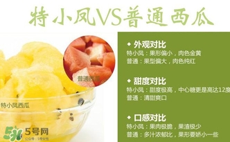 特小鳳西瓜多少錢(qián)一斤2017？特小鳳西瓜價(jià)格