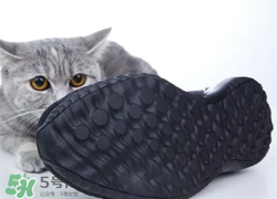 adidas alphabounce上腳怎么樣？阿迪達斯阿爾法小椰子測評