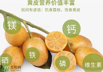如何種植黃皮果？黃皮果怎么種植？