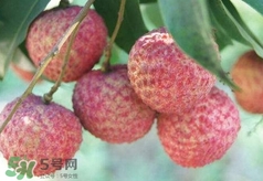 荔枝吃多了會怎么樣？荔枝上火怎么辦？