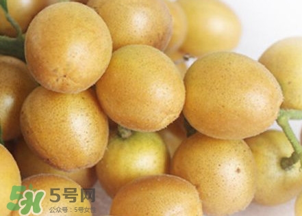 雞心黃皮幾年才掛果？雞心黃皮如何種植管理