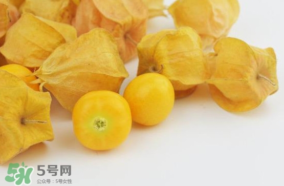 姑娘果是寒性嗎？姑娘果是涼性還是熱性？