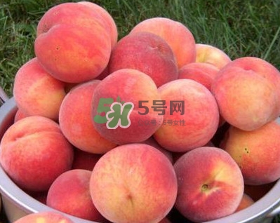 紅不軟桃?guī)自路莩墒?？紅不軟桃什么時(shí)候成熟