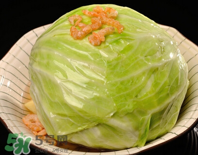 圓白菜是包菜嗎？圓白菜是大頭菜嗎？
