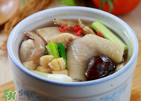鴨肉能和香菇一起燉嗎？香菇燉鴨肉有毒嗎？
