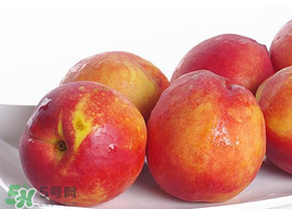 吃油桃會拉肚子嗎？拉肚子可以吃油桃嗎？