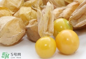 姑娘果什么時(shí)候成熟？姑娘果什么時(shí)候上市