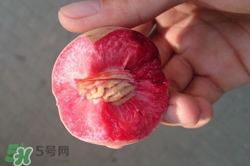 血桃產(chǎn)地在哪？血桃哪些地方產(chǎn)