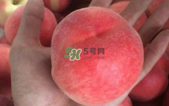 紅不軟桃?guī)自路莩墒?？紅不軟桃什么時(shí)候成熟