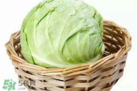 圓白菜是包菜嗎？圓白菜是大頭菜嗎？