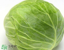 圓白菜是什么菜？圓白菜能生吃嗎？