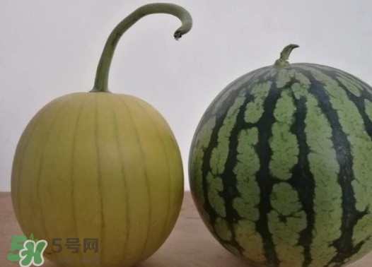 四色瓤西瓜是轉(zhuǎn)基因嗎？四色瓤西瓜是不是轉(zhuǎn)基因？