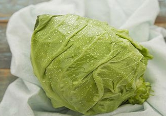 圓白菜是包菜嗎？圓白菜是大頭菜嗎？