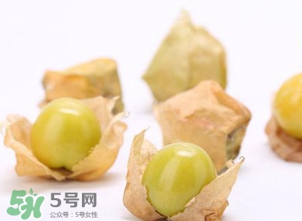 姑娘果什么時(shí)候成熟？姑娘果什么時(shí)候上市