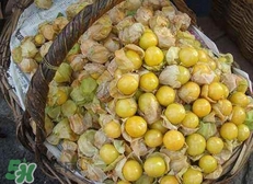 花姑娘水果怎么吃？花姑娘水果吃之前要洗嗎？