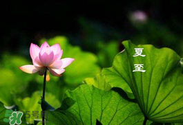 2017年夏至?xí)掠陠幔肯闹料掠暧惺裁凑f(shuō)法？