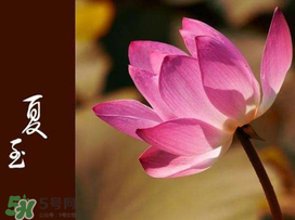 2017年夏至?xí)掠陠幔肯闹料掠暧惺裁凑f(shuō)法？