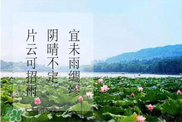 夏至是入伏嗎？夏至后多久入伏？