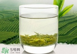如何鑒別信陽(yáng)毛尖好壞？信陽(yáng)毛尖品鑒十步法