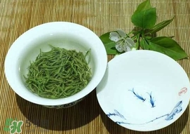 信陽毛尖什么牌子好？信陽毛尖哪個(gè)品牌好