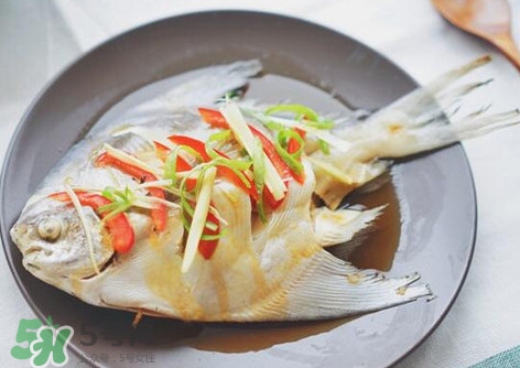 鱸魚刺多嗎？鱸魚適合做給寶寶吃嗎？