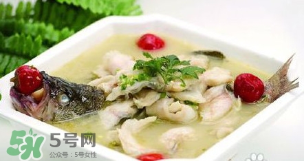 海鱸魚多少錢一斤2017？淡水鱸魚多少錢一斤？