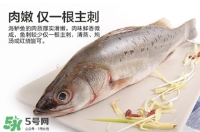 鱸魚(yú)是海鮮嗎？鱸魚(yú)是不是海鮮？