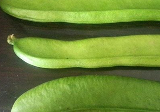 刀豆是四季豆嗎？刀豆和四季豆的區(qū)別