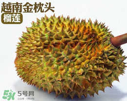 紅心榴蓮多少錢一斤？紅心榴蓮為什么這么貴？