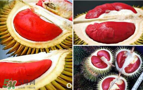 紅心榴蓮叫什么？紅心榴蓮是哪個國家產(chǎn)的？