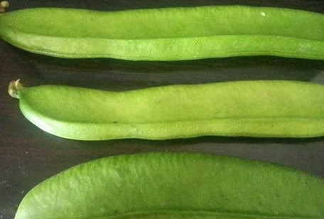刀豆是發(fā)物嗎？刀豆是不是發(fā)物