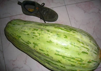 菜瓜怎么炒好吃？菜瓜怎么做好吃