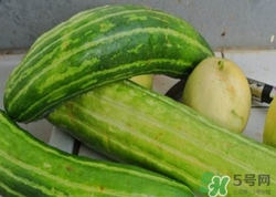 菜瓜到底是不是黃瓜？ 菜瓜和黃瓜的區(qū)別