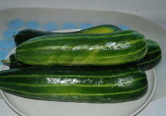 菜瓜是西葫蘆嗎？菜瓜是什么菜