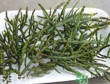 螃蟹腳茶多少錢一斤2017？螃蟹腳茶的價(jià)格
