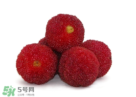吃完楊梅不能吃什么？吃完楊梅可以吃別的水果嗎？
