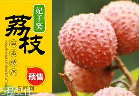 妃子笑荔枝多少錢一斤？2017妃子笑荔枝價格