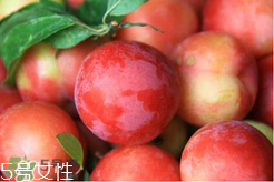 ?楊梅和李子能一起吃嗎？楊梅和李子一起吃會中毒嗎？