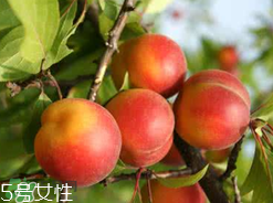 ?楊梅和李子能一起吃嗎？楊梅和李子一起吃會中毒嗎？