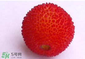楊梅籽可以吃嗎？吃楊梅籽有什么好處？